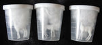 3 FIGURAS DE CIERVOS BLANCOS DE RESINA EN MINIATURA