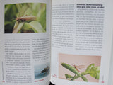 INTRODUCCION A LA PESCA CON MOSCA - ALEJANDRO VIÑUALES -