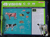 MODELO DE ANATOMIA 4D VISION