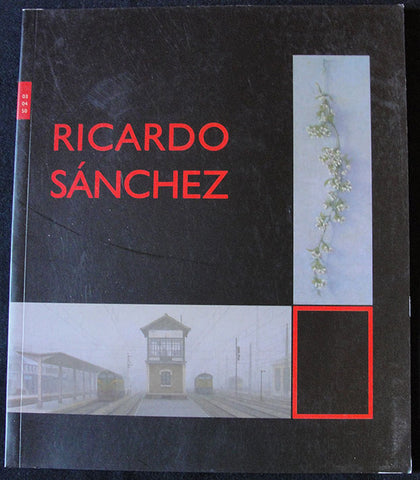 RICARDO SANCHEZ - CATALOGO PINTURA - GALERIA DE ARTE ANGELES PENCHE - 2004 -